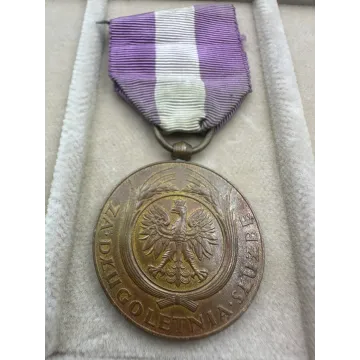 Polska, Brązowy Medal za Długoletnią Służbę X lat - II RP
